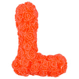 Frizzle Group 78