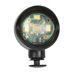 Frizzle Black Lighting Lamp