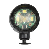 Frizzle Black Lighting Lamp
