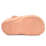 New Ledo - Pink