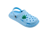 Frizzle Leaf